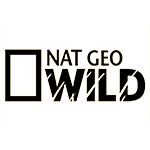 Nat-Geo-Wild