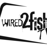 wired2fish_400x300_light